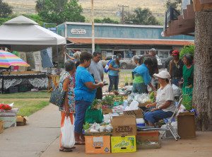 Molokai Farmers Market Information - Hawaii Eco Living