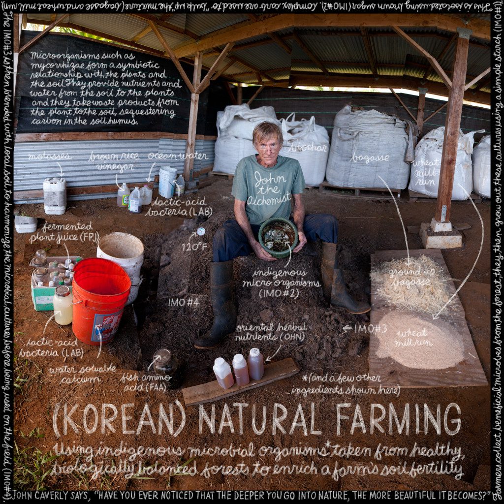 Korean Natural Farming Guide Hawaii Eco Living