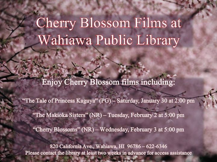 Cherry Blossom Specials + Events