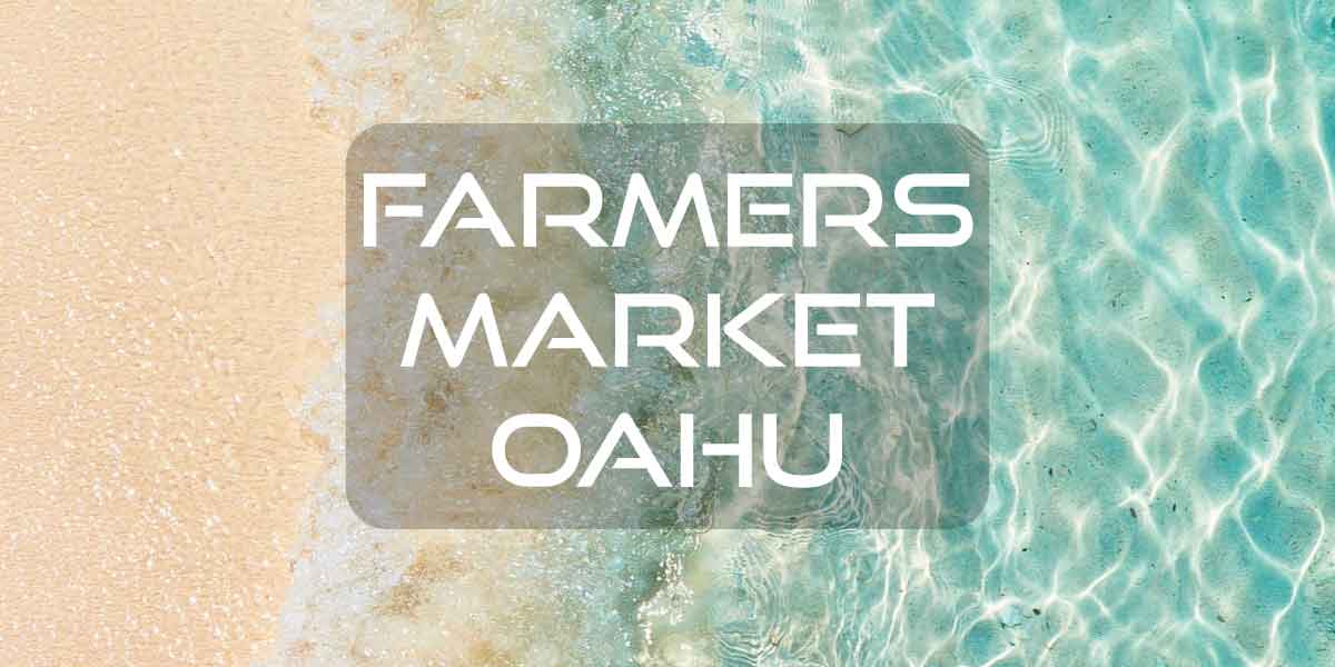 Farmers Market Oahu Hawaii Eco Living   Farmers Markets Oahu Farmers Market Featured 